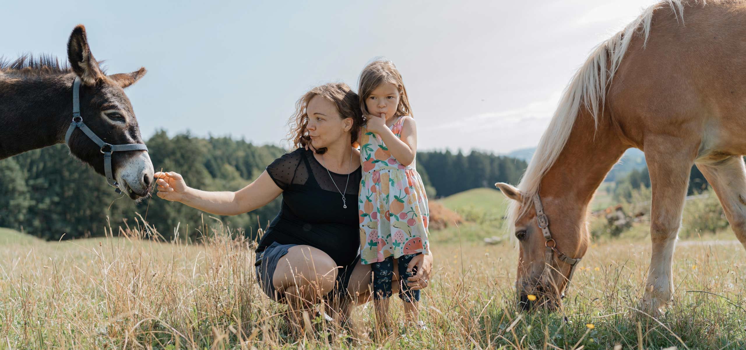 Kinderparadies Ferienhof Mair in Immenstadt im Allgäu