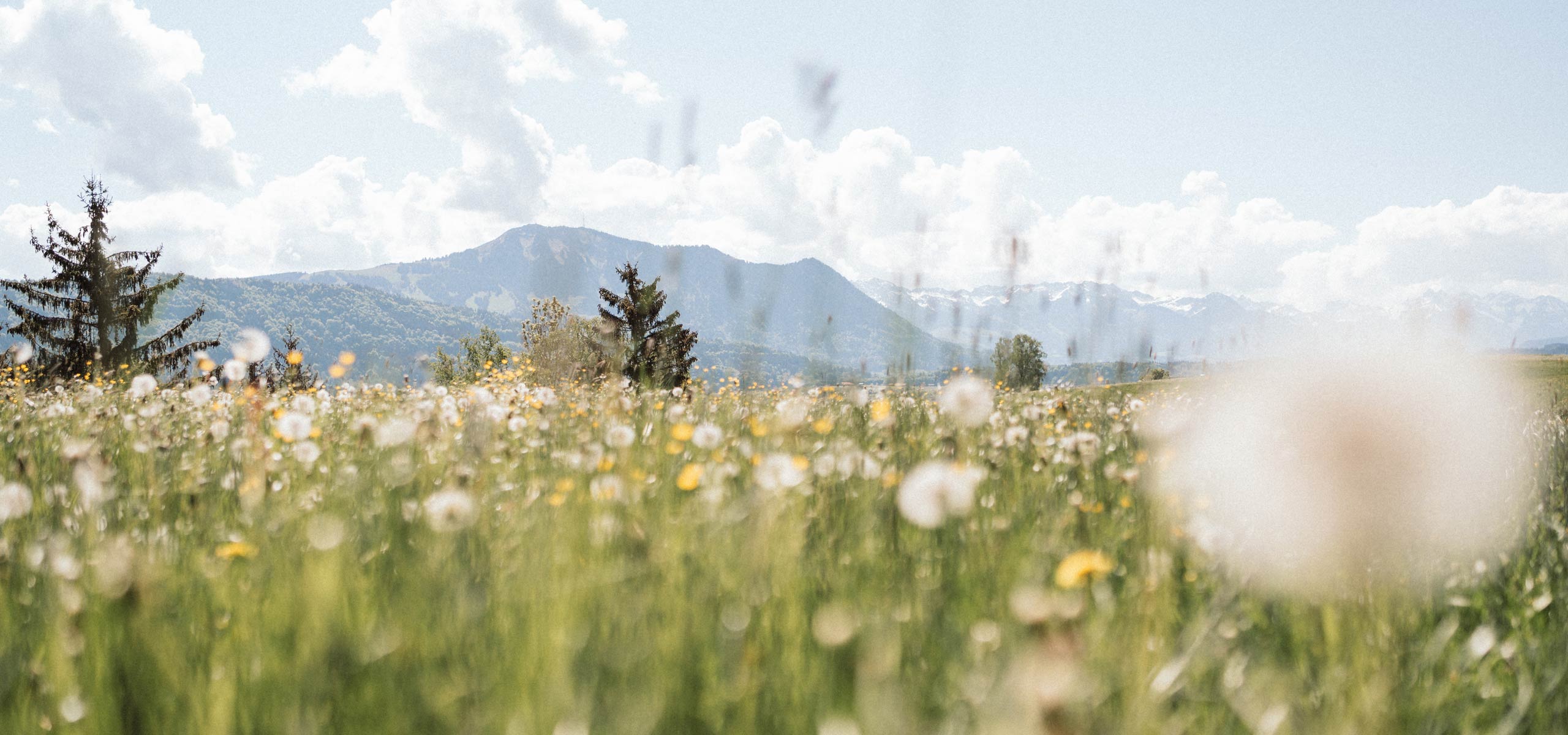 Urlaub auf dem Ferienhof Mair in Immenstadt im Allgäu
