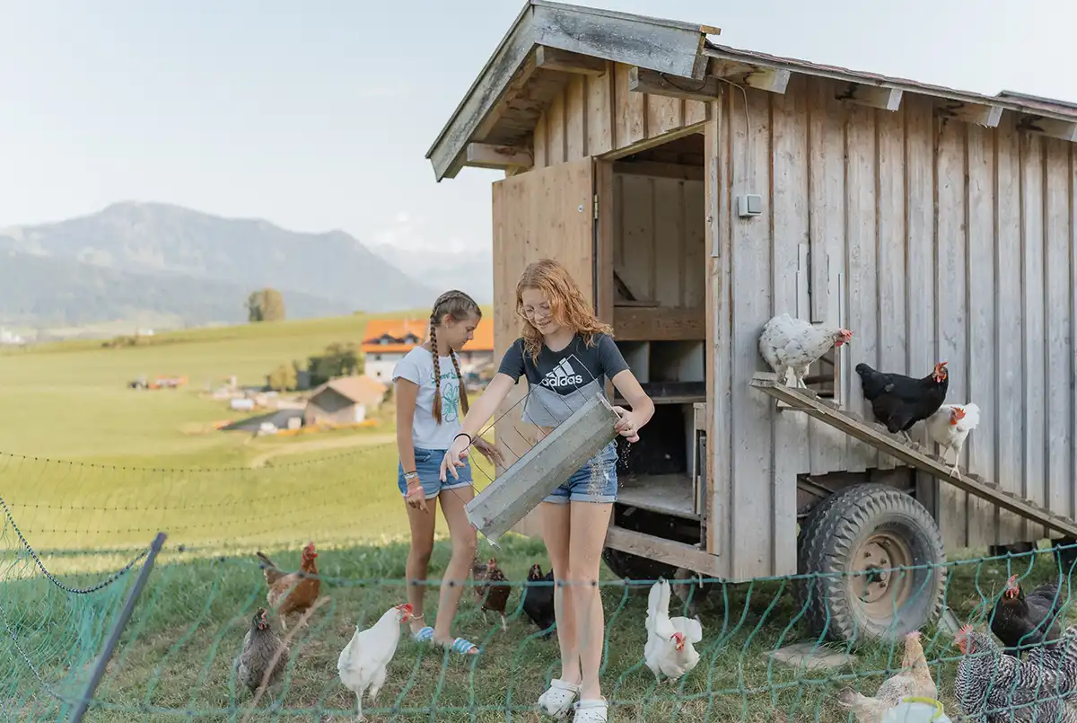 Ferienhof Mair in Immenstadt im Allgäu | KInderurlaub auf dem Bauernhof