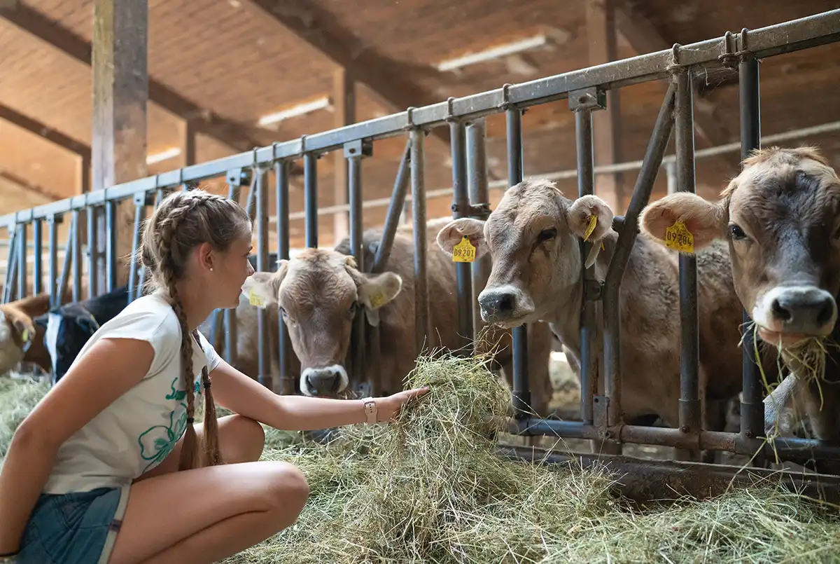 Ferienhof Mair in Immenstadt im Allgäu | Kinderurlaub auf dem Bauernhof