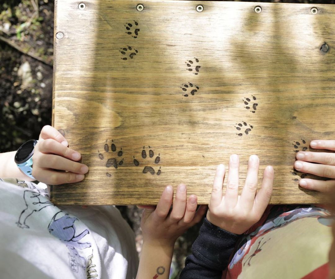 Walderlebniszentrum F&uuml;ssen, &uuml;ber den Baumgipfeln