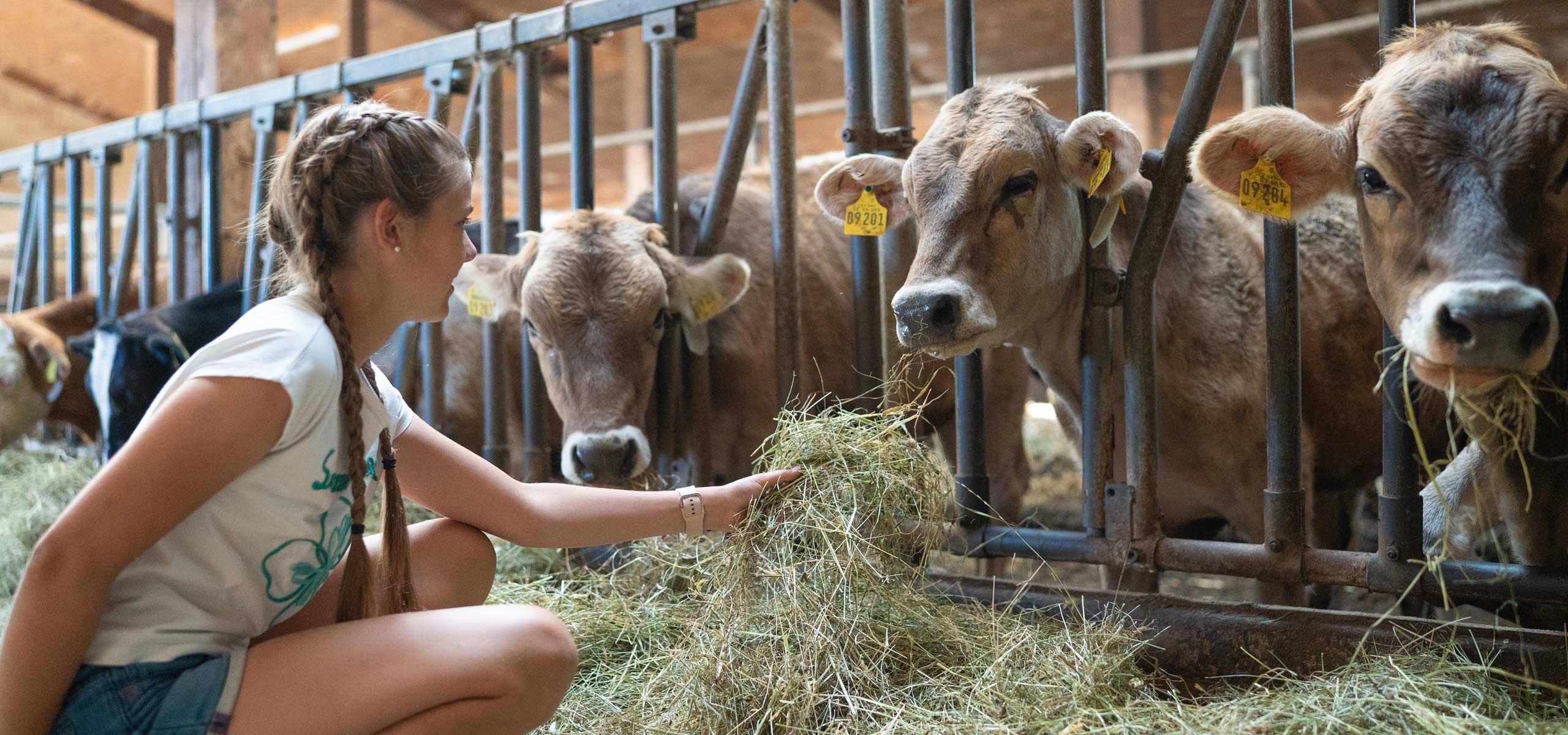 Ferienhof Mair - in Immenstadt im Allg&auml;u - Urlaub auf dem Bauernhof mit Kindern und vielen Tieren