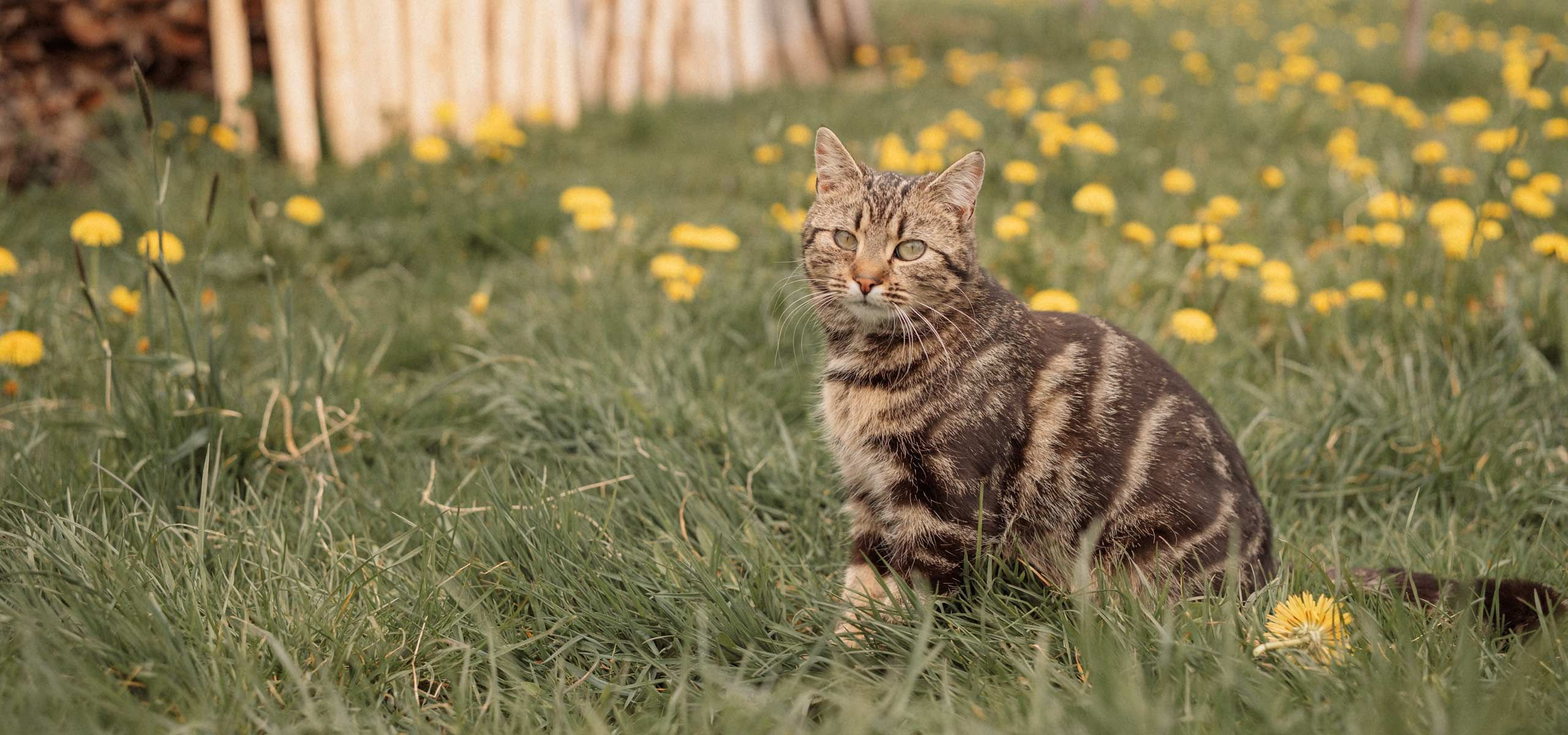 Urlaub auf dem Ferienhof Mair in Immenstadt im Allg&auml;u