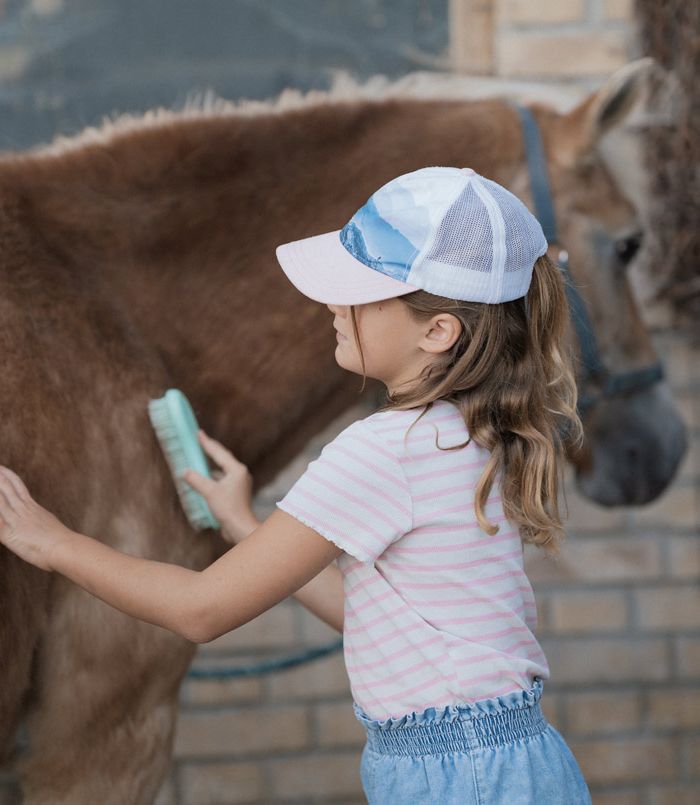 Gemeinsam Pferde Striegeln - Ferienhof Mair
