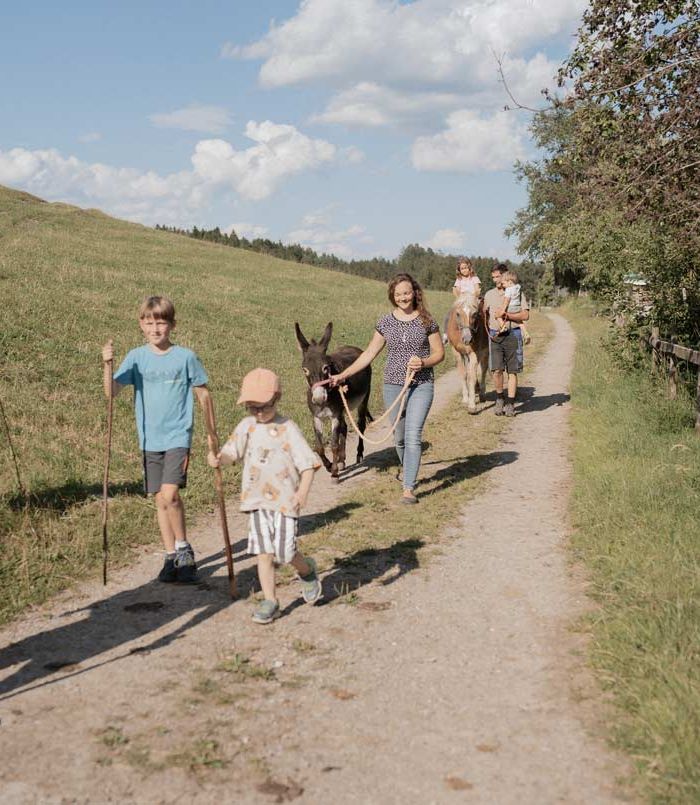 Spaziergang mit unseren Eseln & Pferden - Ferienhof Mair
