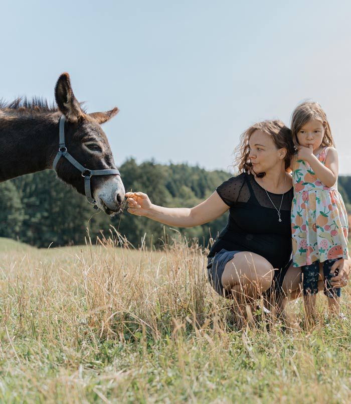 Unsere Esel lieben Streicheleinheiten - Ferienhof Mair