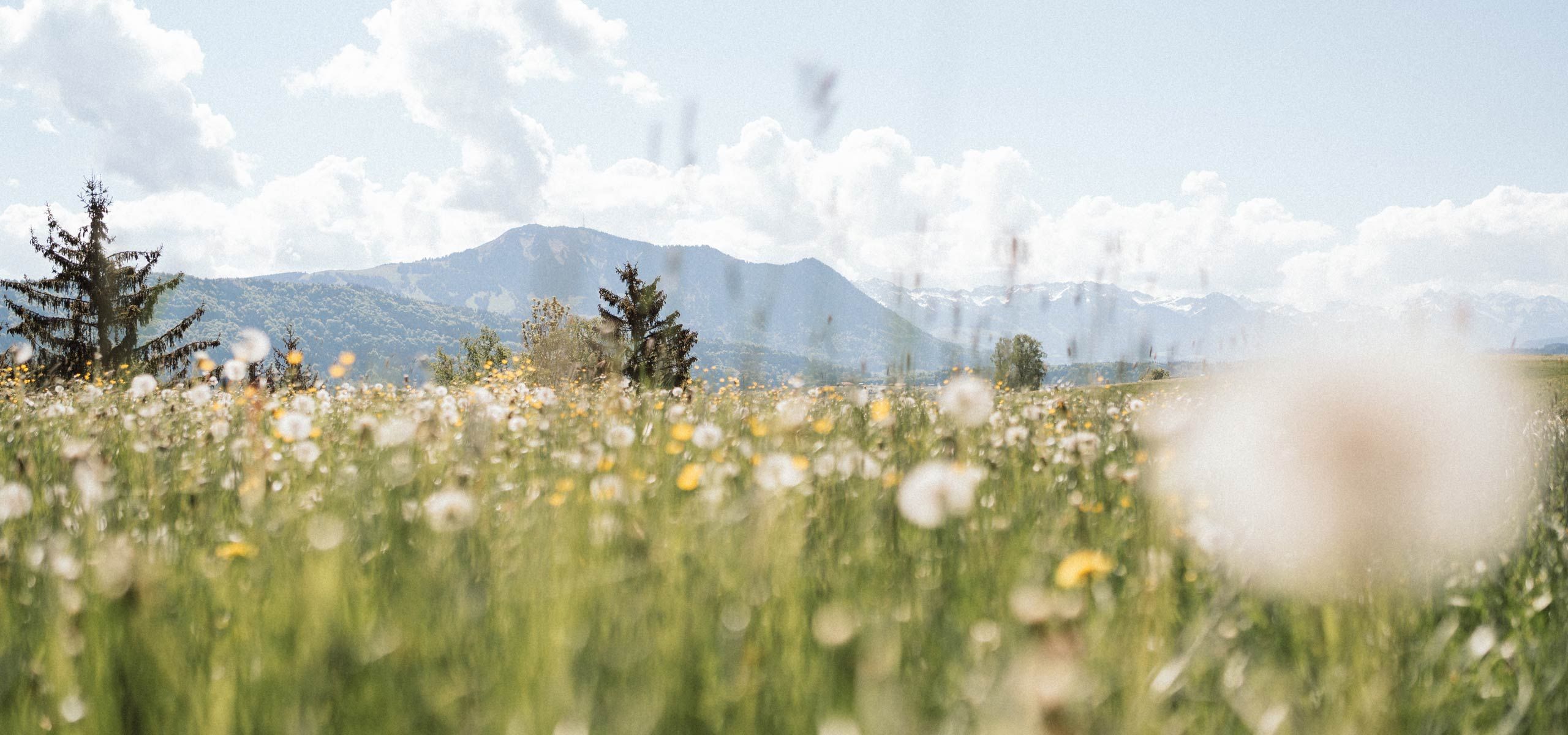 Urlaub auf dem Ferienhof Mair in Immenstadt im Allg&auml;u